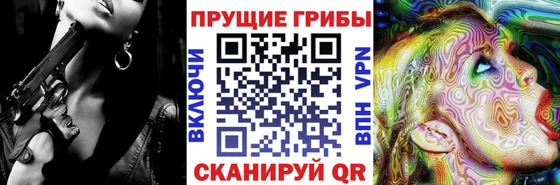 Галлюциногенные грибы GOLDEN TEACHER  цена наркотик  ОМГ ОМГ ТОР  Петухово 
